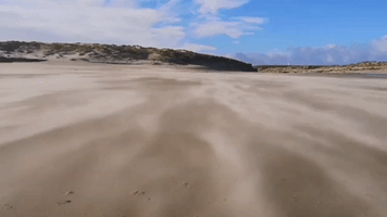 Sand Flies on Northumberland Beach as England Awaits Storm Eunice