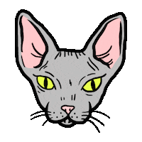 Game Cat Sticker