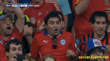 excited world cup GIF by Fusion