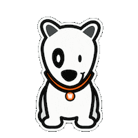 Stay Home En Casa Sticker by WPBR Marketing Digital