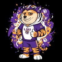 College Sports Thumbs Up GIF by Doge Pound