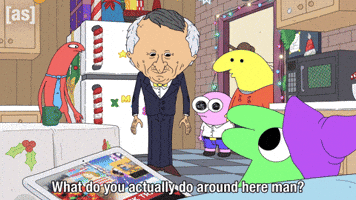 What Do You Do GIF by Adult Swim