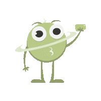 coordea selfie influencer taking photo coordea Sticker