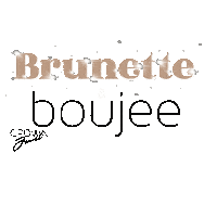 Crownjewelhairstudio salon hair salon hair stylist brunette hair Sticker