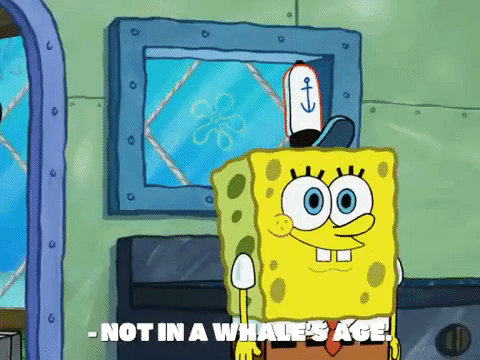 season 7 the curse of bikini bottom GIF by SpongeBob SquarePants