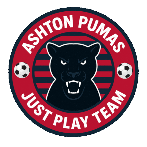 Lets Go Football Sticker by Ashton Pumas Womens