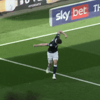 Happy The Den GIF by MillwallFC