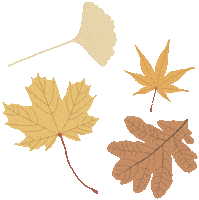 Illustration Fall Sticker