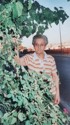 israTecnolocura giphyupload GIF