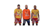 Handball Image Sticker by RiihimäenCocks