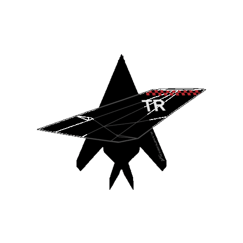 Air Force Stealth Sticker by RampCheckGlobal
