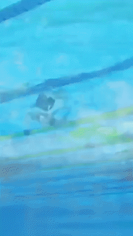 alejandrahurtadoramirez giphyupload GIF