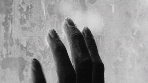 reaching black and white GIF by Epitaph Records