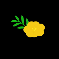 retouralessentiel fleuris retouralessentiel rebeccalhomme GIF
