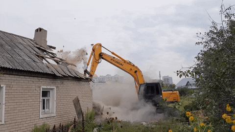 nizamov121090 giphyupload GIF