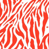 CCOLaRayonne rouge cco zebrure ccovilleurbanne Sticker