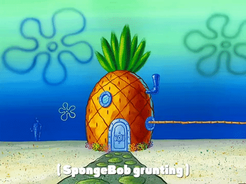 season 3 GIF by SpongeBob SquarePants