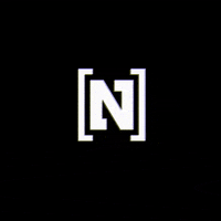 NETICS glitch n static netics GIF