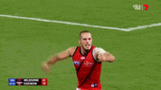 david zaharakis celebrations GIF by AFL