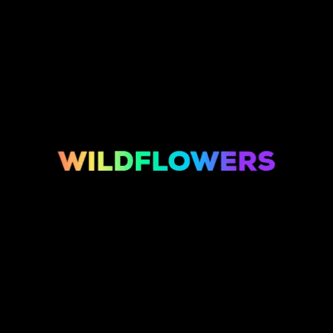 CANTOCOCIDO giphygifmaker wildflowers cantococido GIF