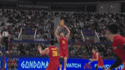 GIF by Volleyball World