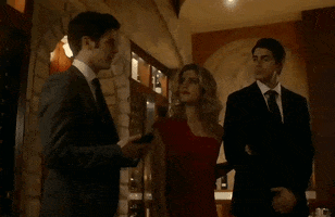the flash arrow GIF by CraveTV