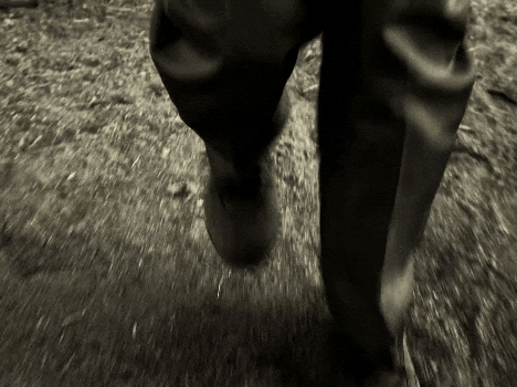 doodles885 giphyupload music music video tyler the creator GIF