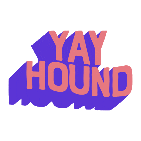 yayhound giphyupload sustainable ecofriendly dogtoys Sticker