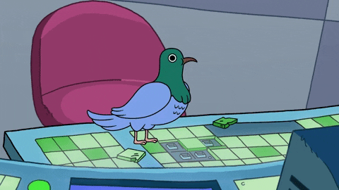 bird wtf GIF by Cartoon Hangover