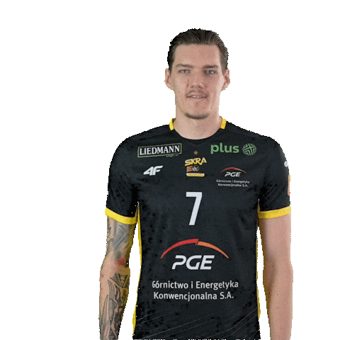 Power Volleyball Sticker by PGE GiEK Skra Bełchatów