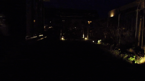 Handigelamp giphyupload GIF