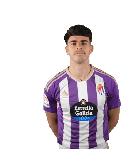 Football Soccer Sticker by Real Valladolid