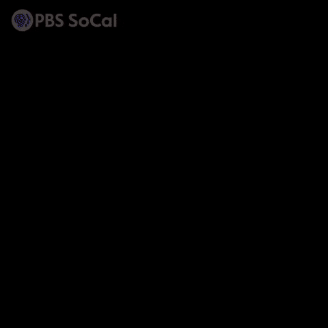 Nicole Kidman Yes GIF by PBS SoCal