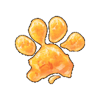 thepaddingtonbearexperience paddington bear paddingtonbear the paddington bear experience london paddington bear london Sticker