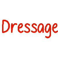 Horse Dressage Sticker