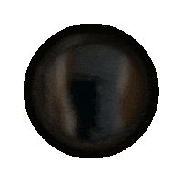 Madelaine Petsch Horror Sticker by Lionsgate