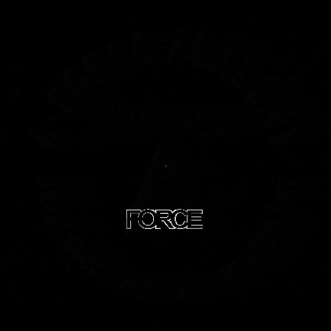 GIF by aforcebjj