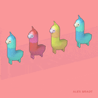 alexbradt dance party jump mexico GIF