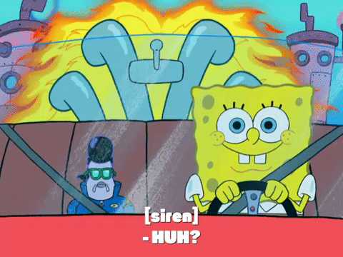 season 8 GIF by SpongeBob SquarePants