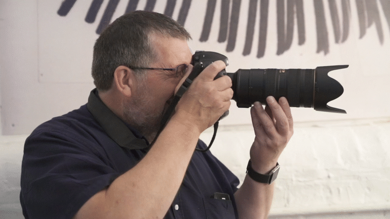 platty bernardplatt GIF