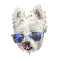 MISSIONOutdoor dog westie cooldog missionboatgear Sticker