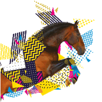 Cheval Sticker by EQUIDAYS