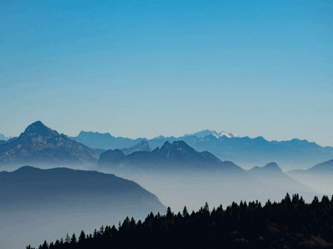 FranchiseCHECK_de giphygifmaker work business franchise GIF