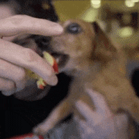 Apple Eating GIF by Kinda Funny