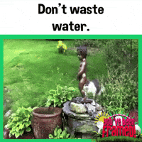 Waste Not Want Not Water Day GIF by You've Been Framed!