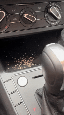 nahueldiazf1552740ac4246eabbaf132b1d6caad4 giphyupload GIF