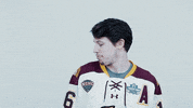 ncaasports hockey college ncaa ice GIF