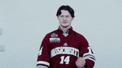 ncaasports hockey college ncaa ice GIF