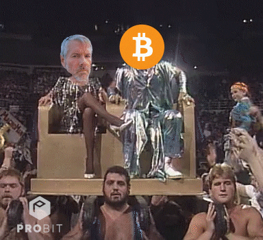 Crypto Invest GIF by ProBit Global
