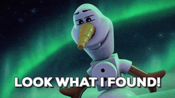 Searching Northern Lights GIF by LEGO